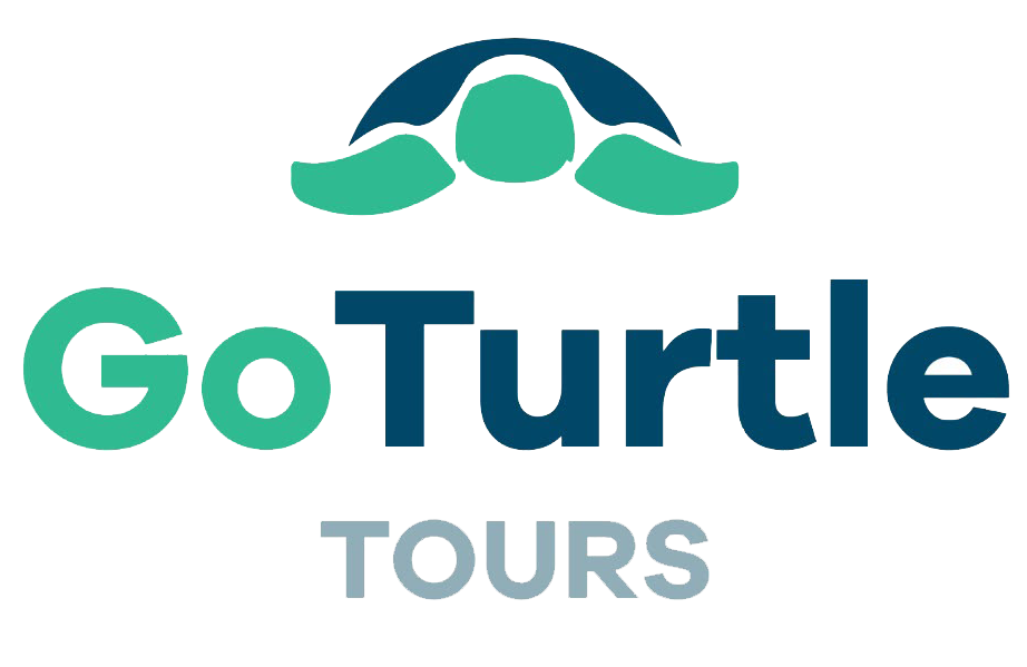GoTurtle Tours
